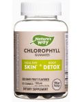 Chlorophyll Gummies, 60 желирани таблетки, Nature’s Way - 1t