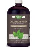 Chlorofresh Liquid Chlorophyll, неовкусен, 473 ml, Nature’s Way - 1t
