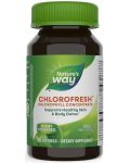 Chlorofresh Chlorophyll Concentrate, 90 капсули, Nature’s Way - 1t