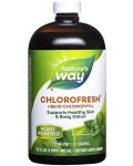 Chlorofresh Liquid Chlorophyll, 480 ml, Nature’s Way - 1t