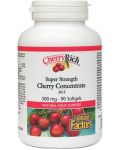 Cherry Rich Cherry Concentrate, 500 mg, 90 капсули, Natural Factors - 1t