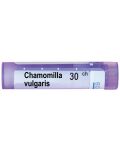 Chamomilla vulgaris 30CH, Boiron - 1t