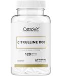 Citrulline 1100, 120 капсули, OstroVit - 1t