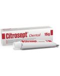 Citrocept Dental Гел, 15 g, Cintamani - 1t