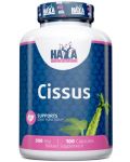 Cissus, 500 mg, 100 капсули, Haya Labs - 1t