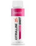 Citrulline Shot, червена боровинка, 25 шота х 100 ml, OstroVit - 2t