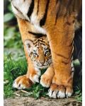 Пъзел Clementoni от 500 части - Бебе бенгалски тигър между лапите на майка си - 2t