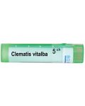 Clematis vitalba 5CH, Boiron - 1t