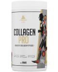 Collagen Pro, orange, 540 g, Peak - 1t