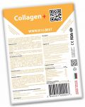 Collagen+ Трансдермални пластири, 30 броя, Octo Patch - 2t