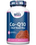 Co-Q10 + Red Yeast Rice, 60 капсули, Haya Labs - 1t
