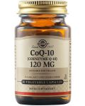 CoQ-10, 120 mg, 30 растителни капсули, Solgar - 1t