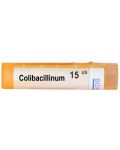 Colibacillinum 15CH, Boiron - 1t