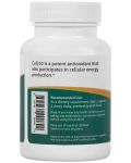 CoQ10, 100 mg, 60 капсули, Fairhaven Health - 3t