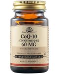CoQ-10, 60 mg, 30 растителни капсули, Solgar - 1t
