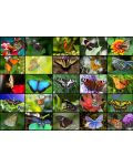 Пъзел Grafika от 1000 части - Колаж с пеперуди - 2t