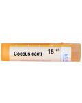 Coccus cacti 15CH, Boiron - 1t
