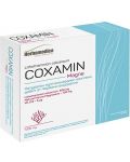 Coxamin Magne, 60 таблетки, Herbamedica - 1t