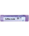 Coffea cruda 30CH, Boiron - 1t