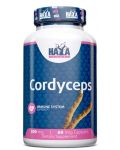 Cordyceps, 500 mg, 60 капсули, Haya Labs - 1t