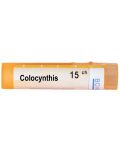 Colocynthis 15CH, Boiron - 1t