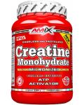 Creatine Monohydrate Powder, 1000 g, Amix - 1t