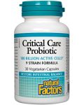 Critical Care Probiotic, 30 капсули, Natural Factors - 1t