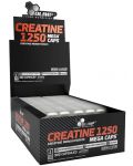 Creatine Mega Caps, 1250 mg, 900 капсули, Olimp - 1t