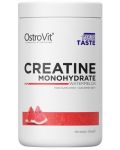 Creatine Monohydrate, диня, 500 g, OstroVit - 1t