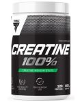 Creatine 100%, 600 g, Trec Nutrition - 1t