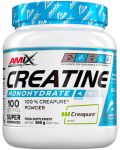 Creatine Monohydrate Creapure, 300 g, Amix - 1t