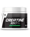Creatine 100%, 300 g, Trec Nutrition - 1t