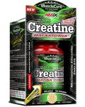 Creatine MagnaPower, 120 капсули, Amix - 1t