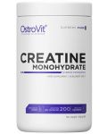 Creatine Monohydrate, неовкусен, 500 g, OstroVit - 1t