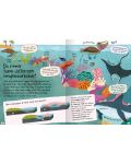 Curious Questions and Answers About Coral Reefs - 2t