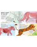 Curious Questions and Answers About Animals - 7t