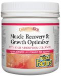 CurcuminRich Muscle Recovery & Growth Optimizer, 156 g, Natural Factors - 1t