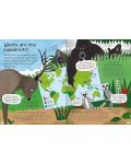 Curious Questions and Answers: Rainforests - 3t