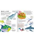 Curious Questions and Answers: Our Oceans - 4t