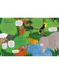 Curious Questions and Answers: Rainforests - 2t