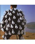 Pink Floyd - Delicate Sound Of Thunder (2 CD) - 1t