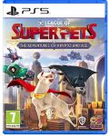DC League of Super-Pets: The Adventures of Krypto and Ace (PS5) - 1t