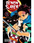 Demon Slayer: Kimetsu no Yaiba, Vol. 1 - 1t