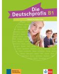 Die Deutschprofis B1 Testheft+audios online - 1t