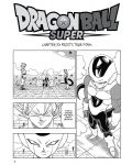 Dragon Ball Super, Vol. 2: The Winning Universe is Decided! - 3t