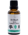 Dr. Bach Капки Енергия и тонус, 30 ml, Jo & Jo - 1t