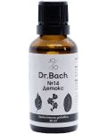 Dr. Bach Капки Детокс, 30 ml, Jo & Jo - 1t