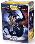 Dragon Shield Standard Art Sleeves - Draxis (100 бр.) - 3t
