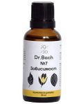 Dr. Bach Капки Зависимост, 30 ml, Jo & Jo - 1t