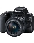 DSLR фотоапарат Canon - EOS 250D, EF-S 18-55mm, черен - 2t